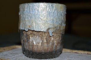 DSC_0338 - Cópia (2).JPG