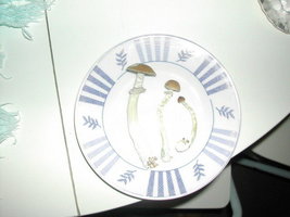 dscn4630r.jpg