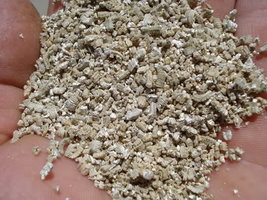 vermiculite03.jpg