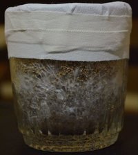 DSC_0410.JPG