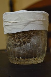 DSC_0414.JPG