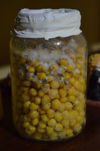 DSC_0428.JPG