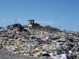 landfill.jpg