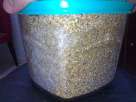 05042012353.jpg