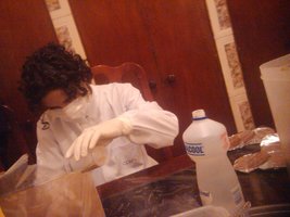 Cogumelos Selvagens 0014.jpg