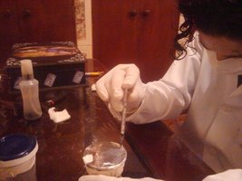 Cogumelos Selvagens 0060.jpg