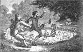 fairy ring 01.jpg