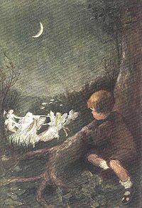 fairy ring 03.jpg