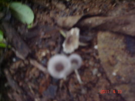 DSC02773.JPG
