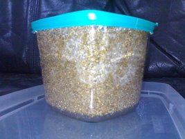 23042012410.jpg