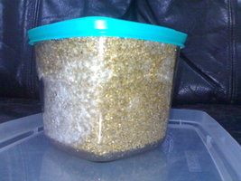 23042012411.jpg