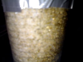 23042012414.jpg