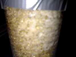 23042012415.jpg