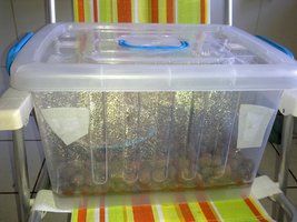 26042012334.jpg