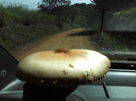 P27-04-12_11.38.jpg