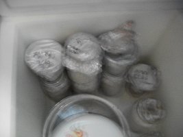 100_4707.JPG 100_4707.JPG