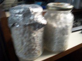100_4710.JPG 100_4710.JPG