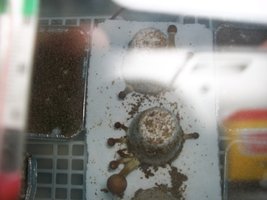 100_4716.JPG