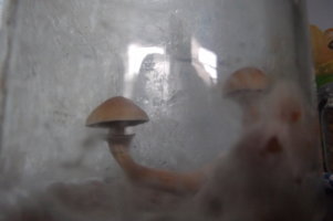DSCF3580.JPG