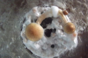 DSCF3578.JPG
