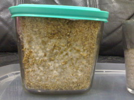 05052012431.jpg