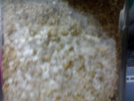 05052012435.jpg