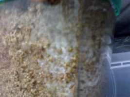 05052012436.jpg