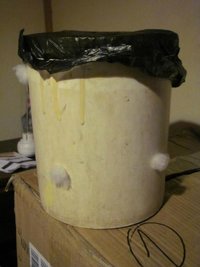 wolly3.jpg