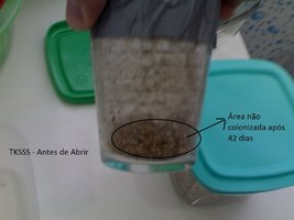 13052012465.jpg