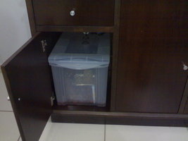13052012490.jpg