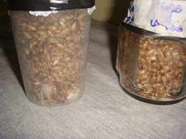 DSC03251.JPG
