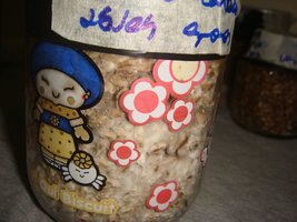 DSC03255.JPG