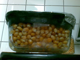 01012007(009).jpg