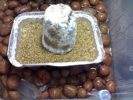 foto02.jpg
