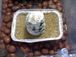 foto03.jpg