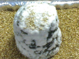 foto04.jpg