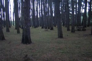 198380_422126047827767_100000911261214_1342567_465876766_n.jpg