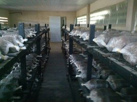 2011-02-12 13.26.43.jpg