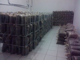 2010-10-09 14.38.16.jpg