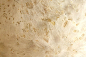 DSCN3403.jpg