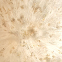DSCN3404.jpg