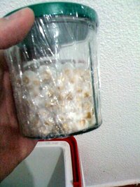 foto 3(1).JPG