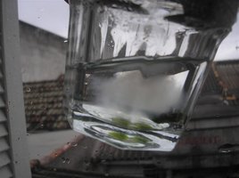 P6160009 (Medium).JPG