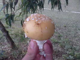 IMG00072.jpg