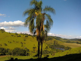 CAMPO.jpg