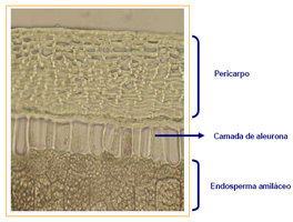 fig-1.jpg