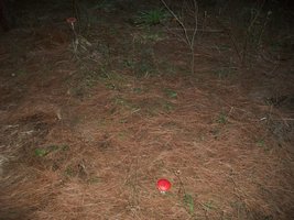 100_4903.JPG