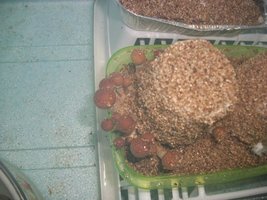 002_640x480.jpg