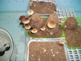 004_640x480.jpg
