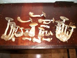 006_640x480.jpg